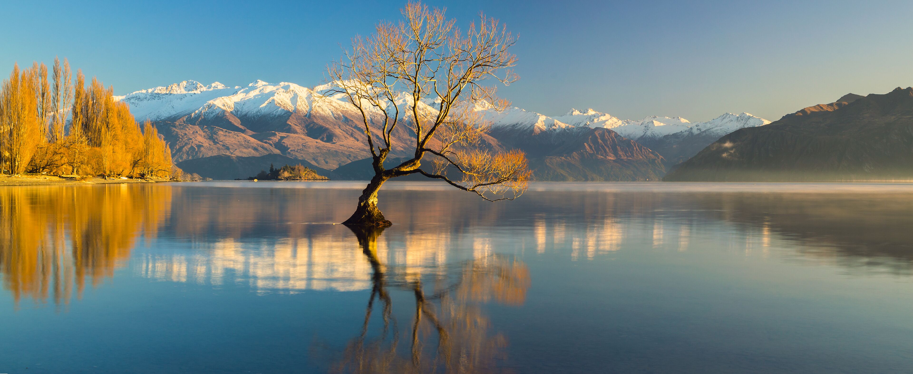 Un lac paisible, avec un arbre isolé au centre, entouré de montagnes enneigées et surplombé d’un ciel dégagé.