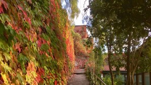 Exterior - Hotel Residence Le Terrazze (Agropoli)