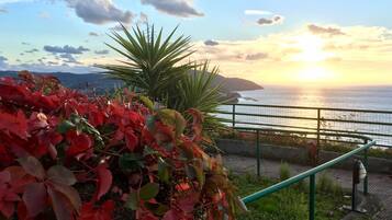 Vista dalla struttura