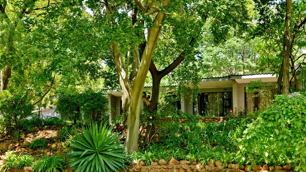 A lush garden with a stone wall, a large agave plant, and a building with a covered porch. - ANEW Resort Hunters Rest Rustenburg (Rustenburg)