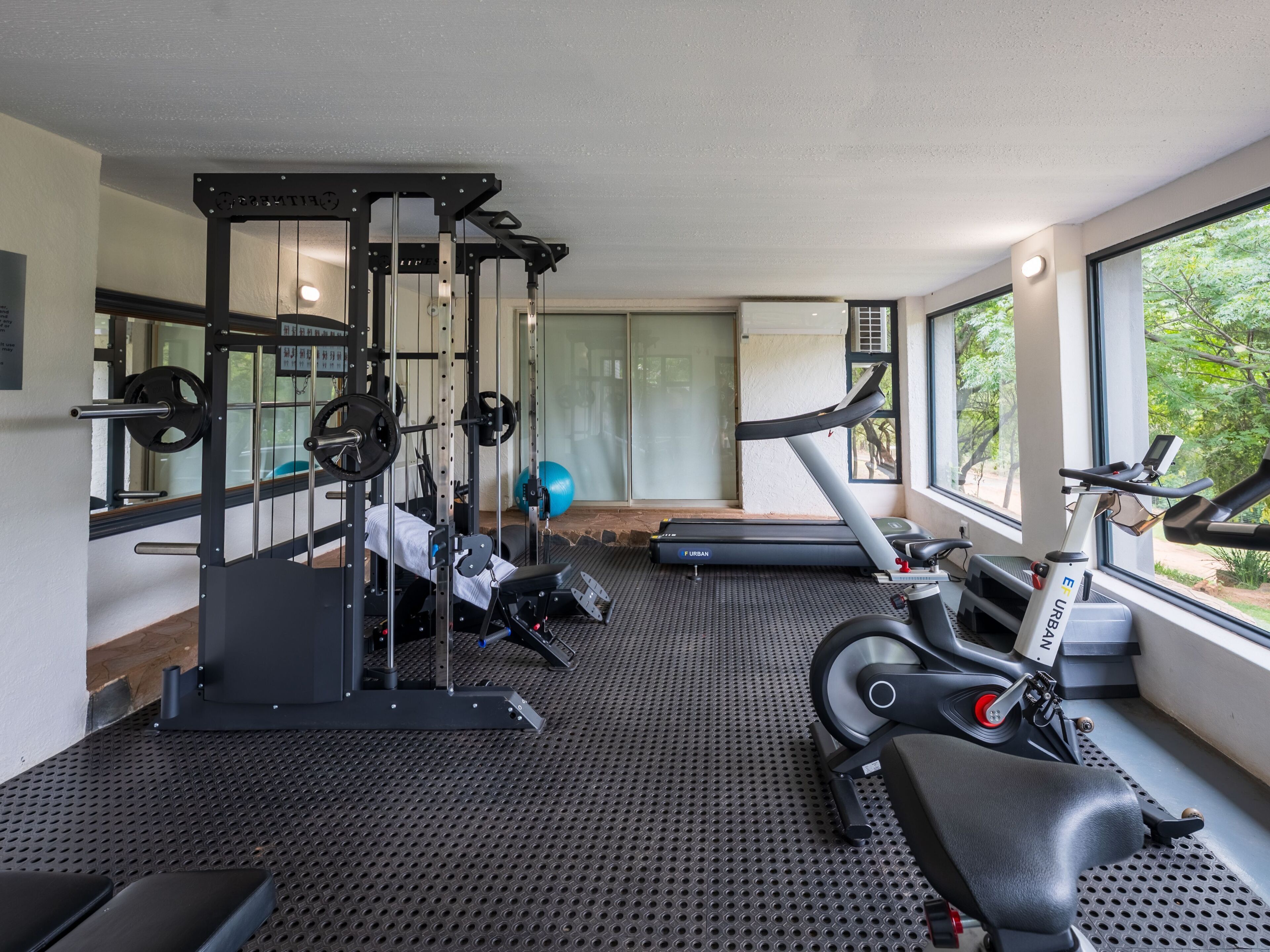 A gym with a weight bench, a treadmill, and a squat rack.
