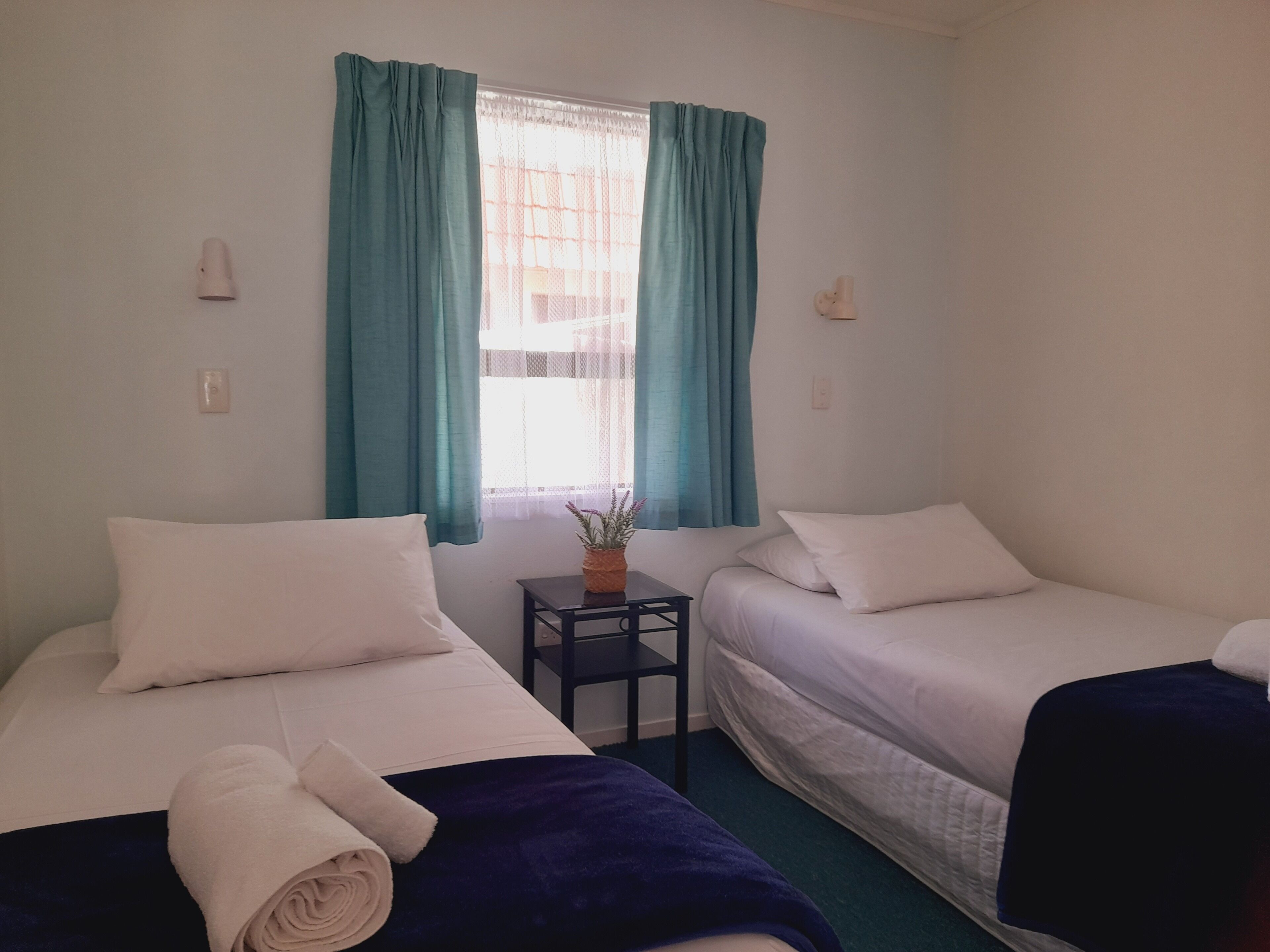A room with two single beds, a small table with a plant, and a window with curtains.