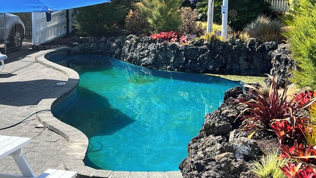 Una piscina azul cristalina con borde curvo, rodeada por una pared de roca y diversas plantas.