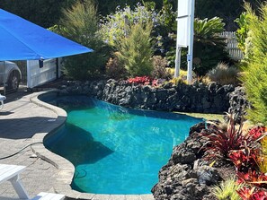 A clear blue pool with a curved edge, surrounded by a rock wall and various plants. - Marlin Court Motel (Paihia)