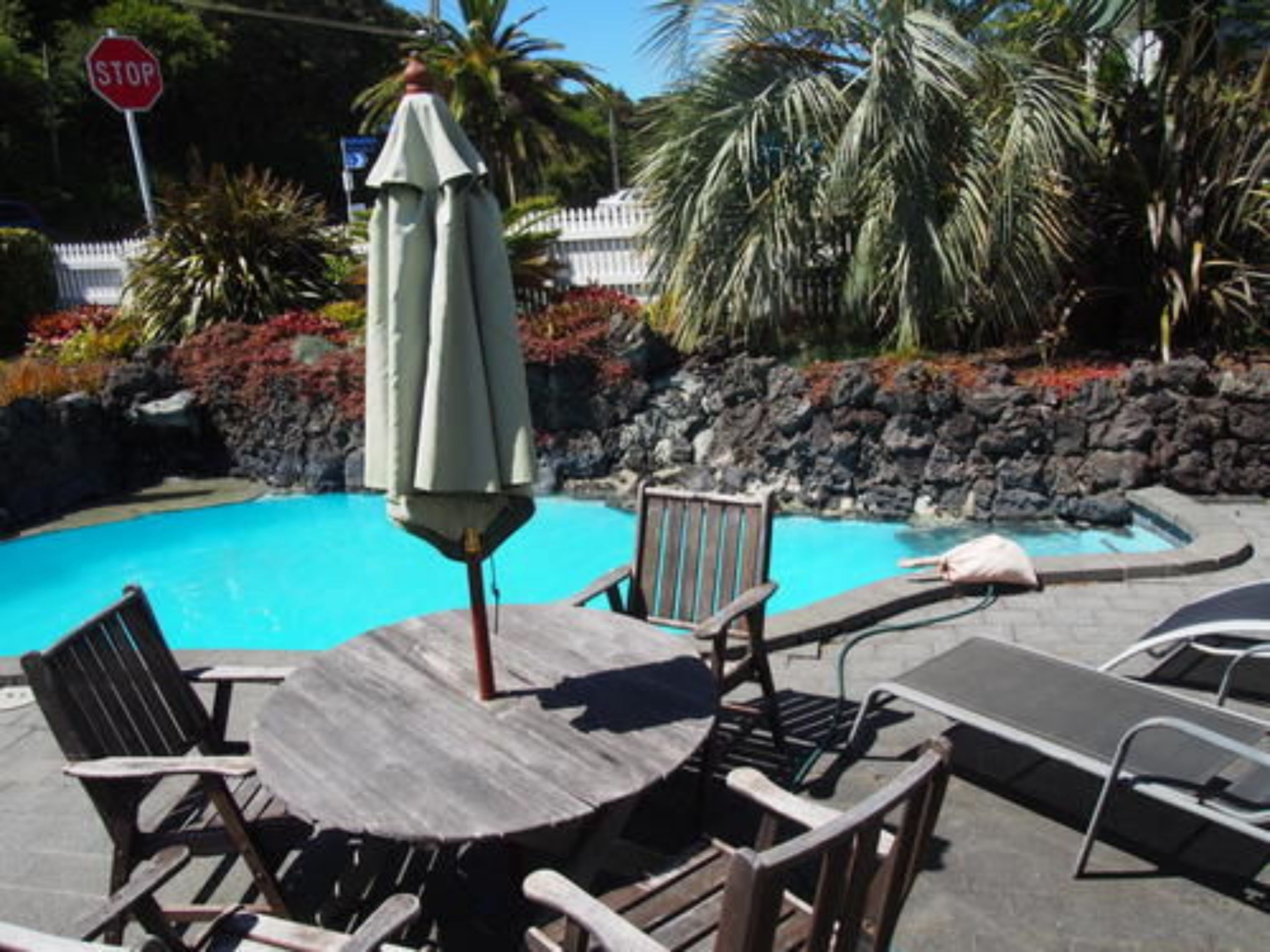 A pool area with lounge chairs and an umbrella, surrounded by a rocky wall and palm trees.