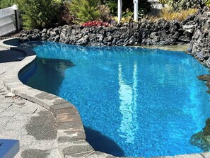 Outdoor pool - Marlin Court Motel (Paihia)