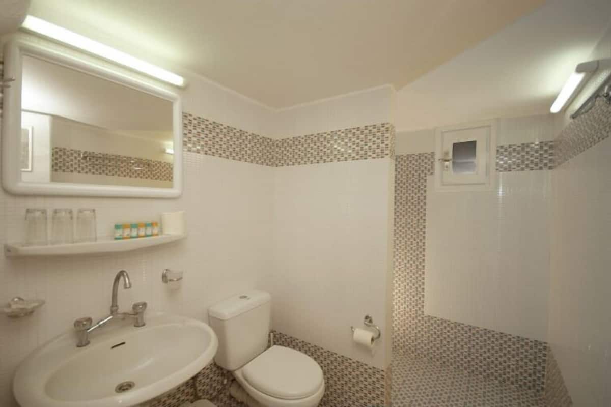 economy triple room | bathroom | shower, hair dryer, towels, soap