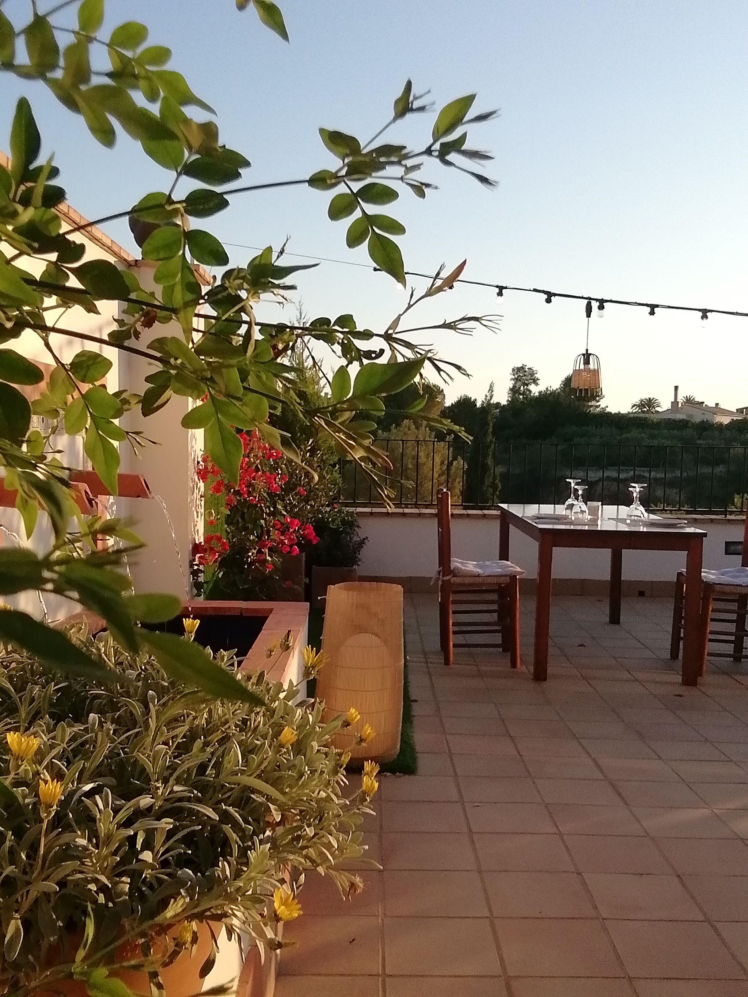 Patio esterno con tavolo e sedie, circondato da piante in vaso e una ghirlanda luminosa.