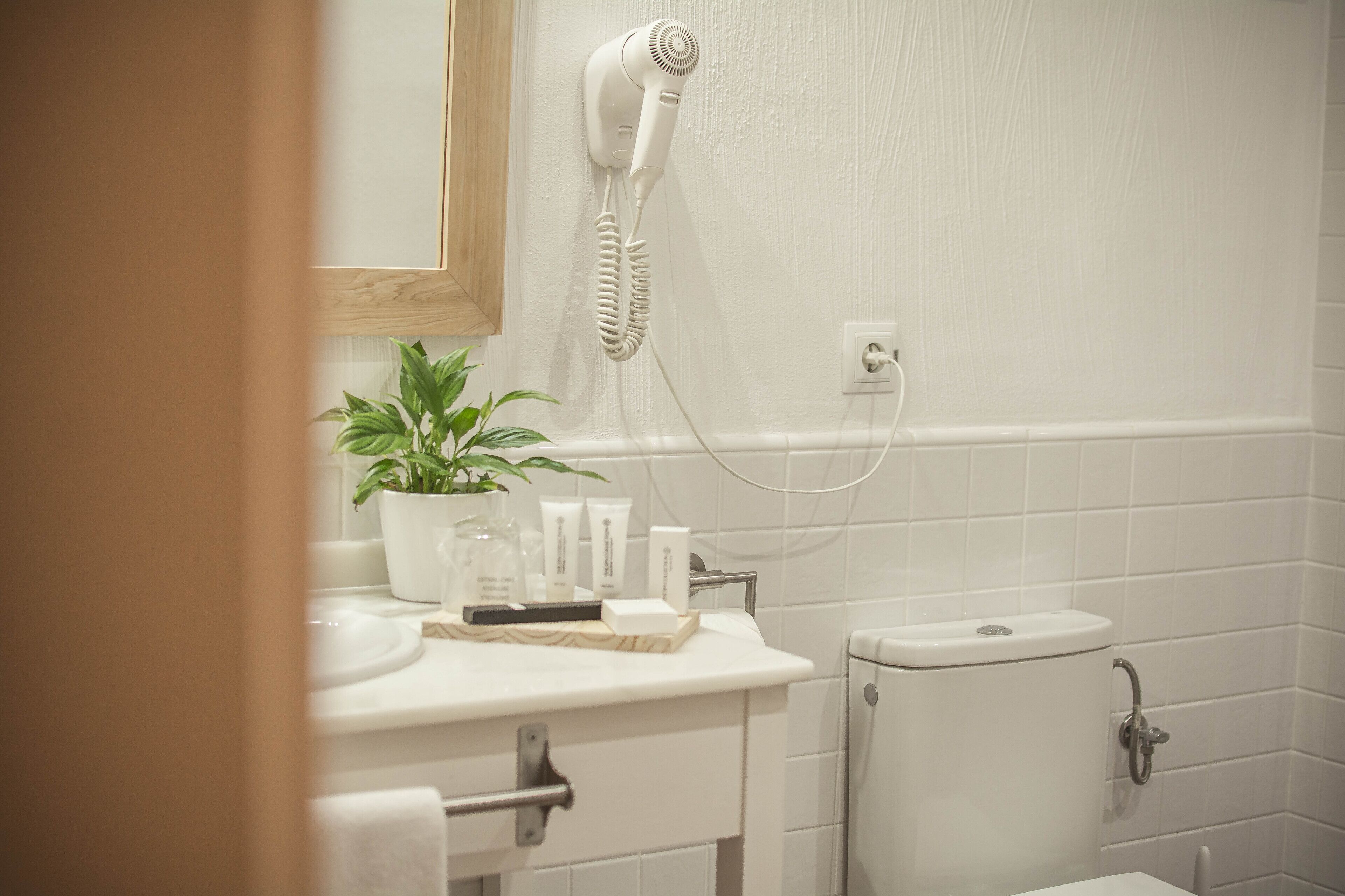 Un baño con un lavabo blanco, un secador de pelo montado en la pared, una planta en maceta y artículos de aseo en la encimera.