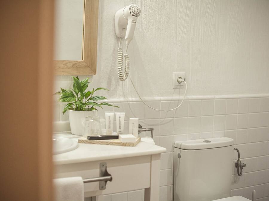 Ein Badezimmer mit einem weißen Waschbecken, einem an der Wand montierten Föhn, einer Topfpflanze und Pflegeprodukten auf der Ablagefläche.