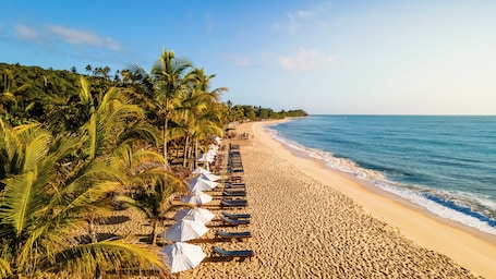 在海滩、白沙、免费海滩小屋、沙滩椅