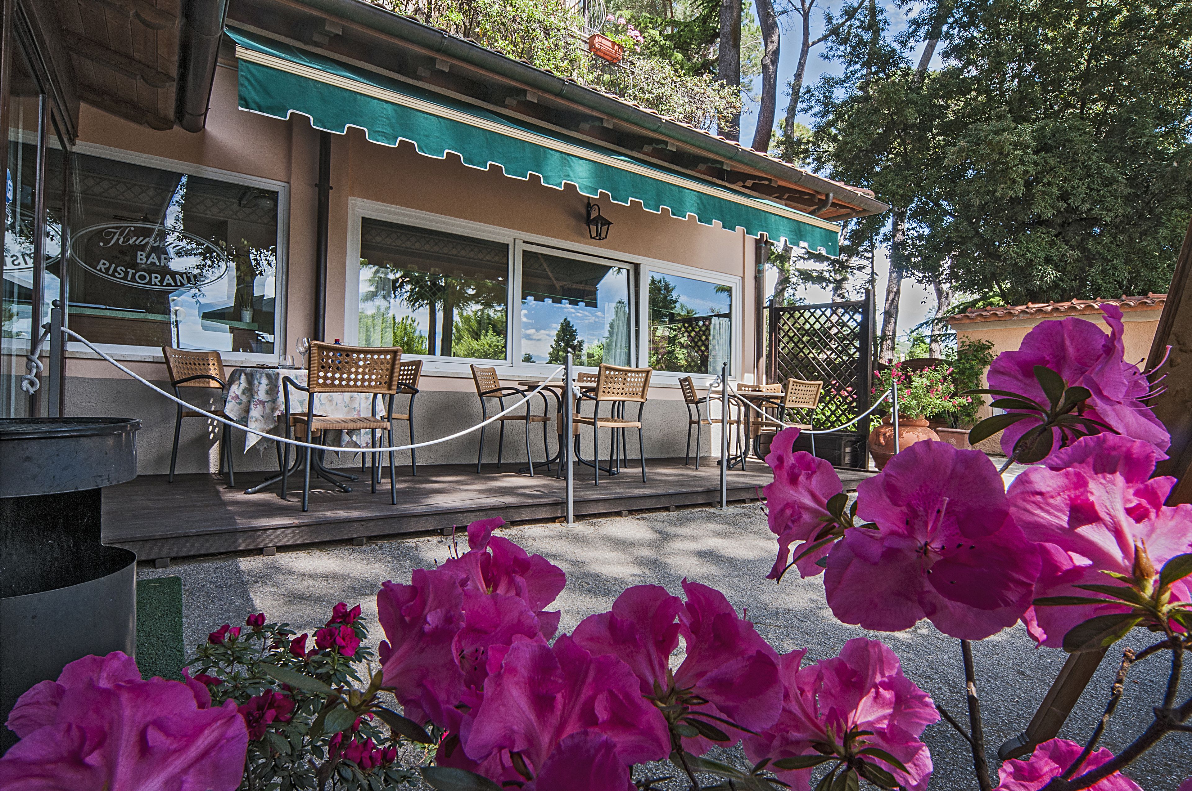 A restaurant with outdoor seating, a green awning, and potted plants.