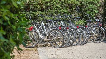 A row of bicycles parked in a designated bike rack area, surrounded by greenery and a paved path.