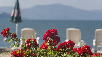 Vista de la playa con flores rojas al frente, una sombrilla y sillas de descanso.