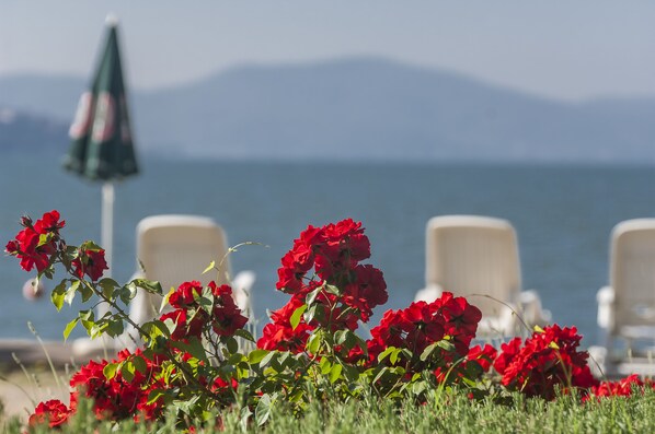 A beachside view with red flowers in the foreground, a beach umbrella, and lounge chairs. - Hotel Kursaal - Umbria (Passignano sul Trasimeno)