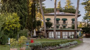 Un edificio con techo verde, amplios ventanales y un jardín con plantas en macetas.