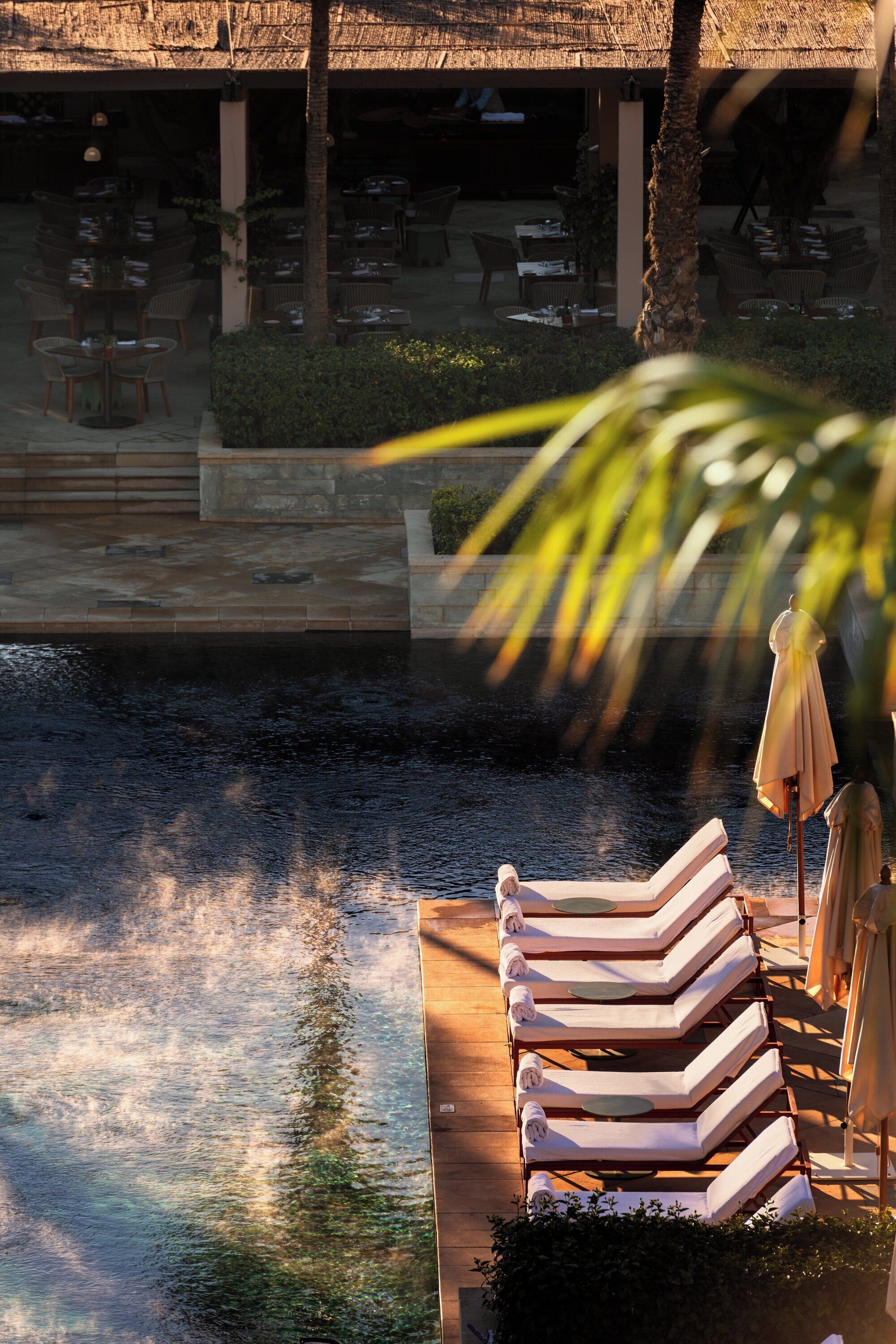 A poolside area with lounge chairs and umbrellas, a palm tree, and a thatched-roof structure in the background.