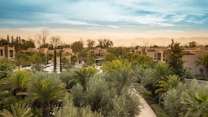 A resort with multiple buildings, palm trees, and a clear sky.