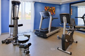 A gym with cardio machines, a bench, and a mirror. - Holiday Inn Express & Suites Terre Haute by IHG (Terre Haute)