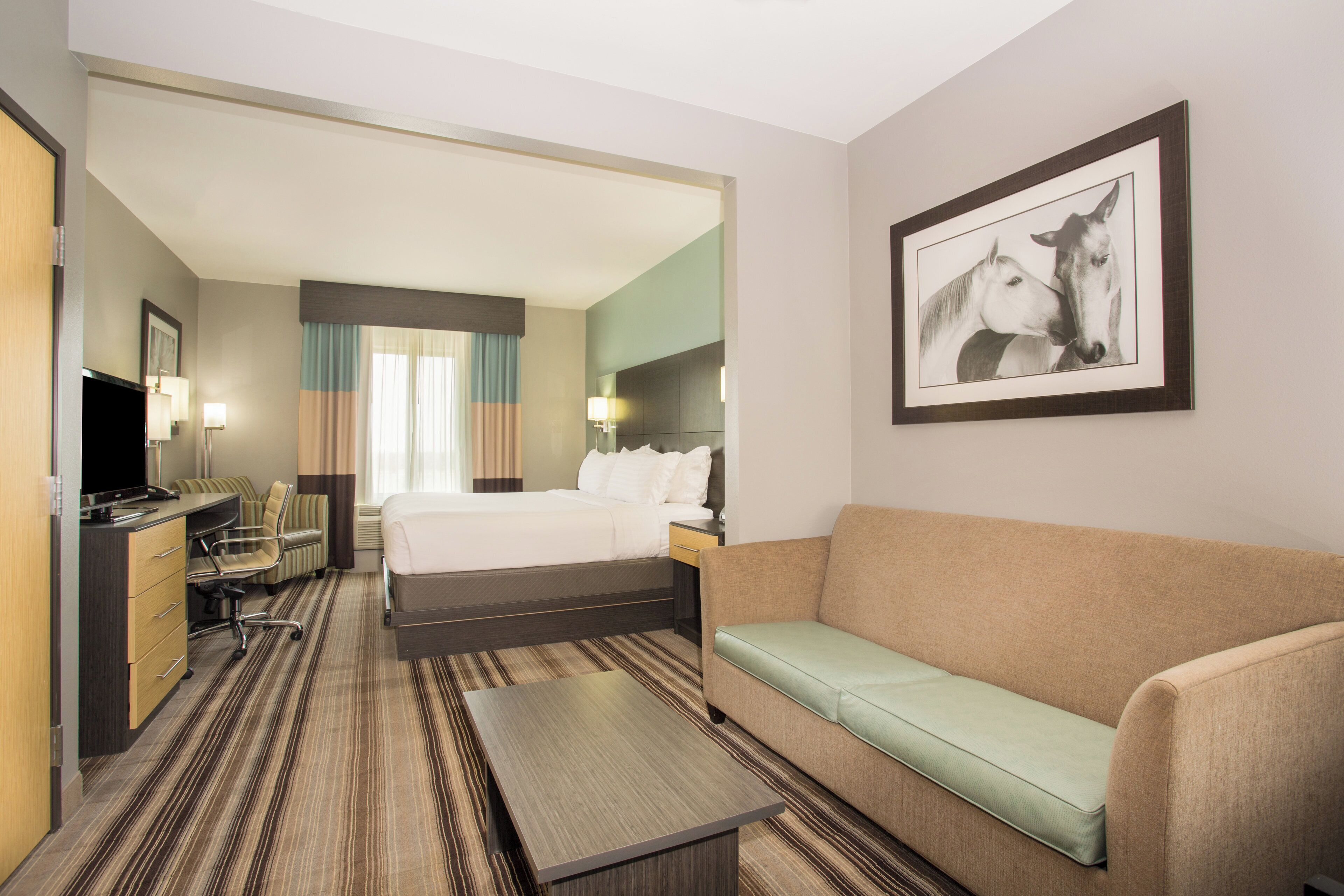 A hotel room with a bed, a sofa, a desk with a chair, a television, and a framed picture on the wall.