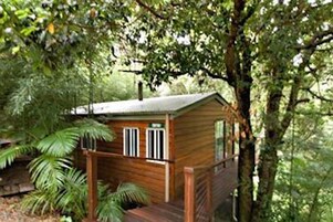 A wooden cabin with a porch, surrounded by dense foliage.