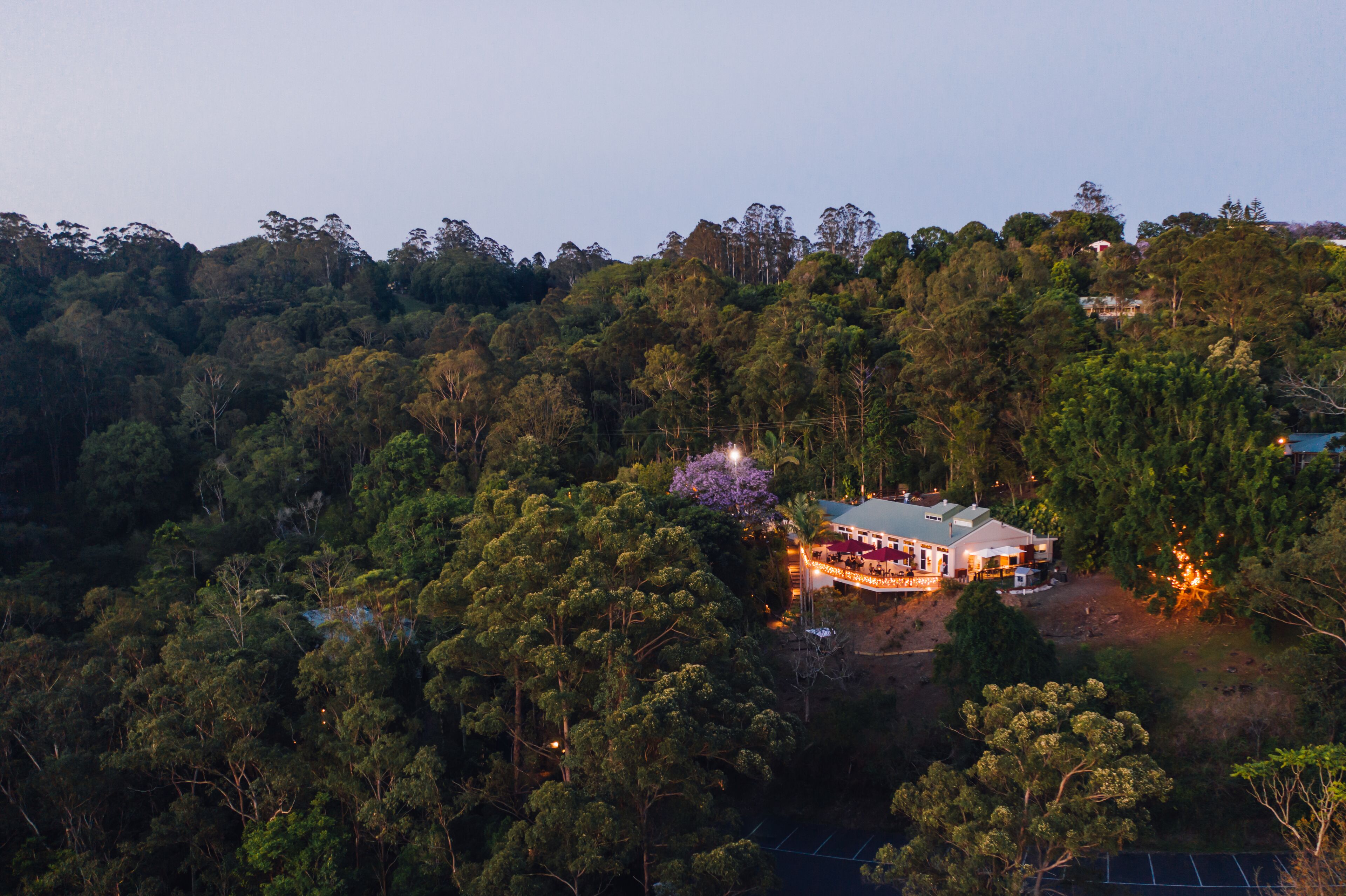 A lodge surrounded by dense forest, with a prominent building featuring a large porch and multiple windows.