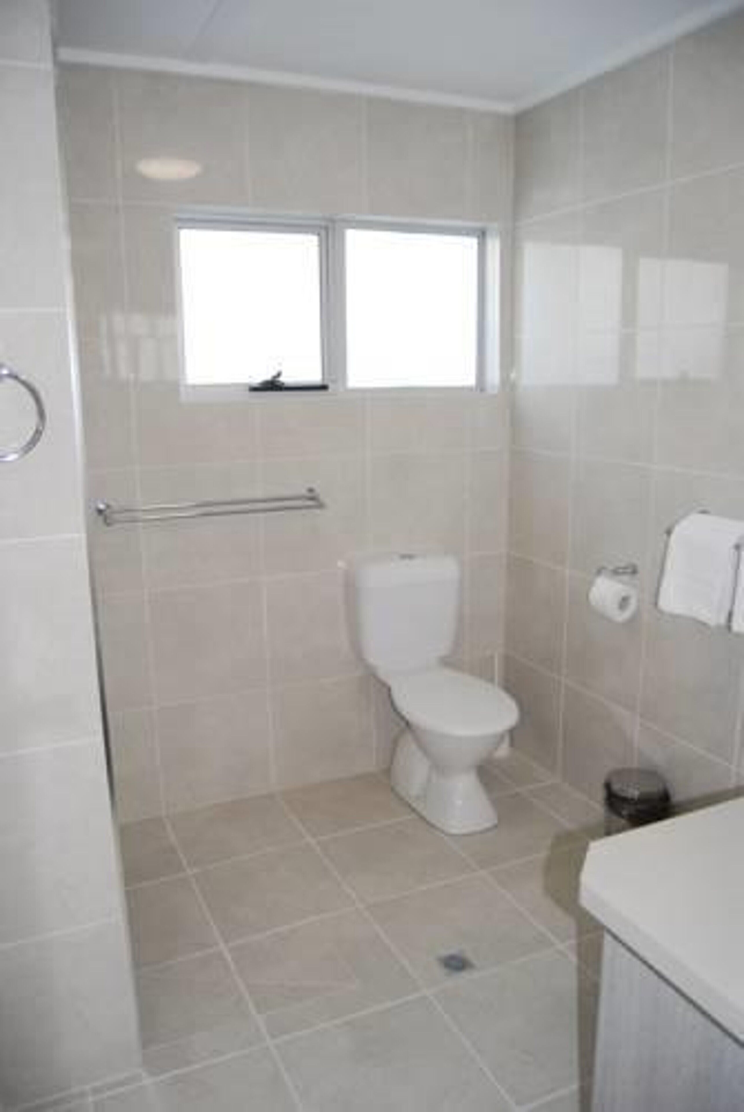 A bathroom with a toilet, a window, and a towel rack.