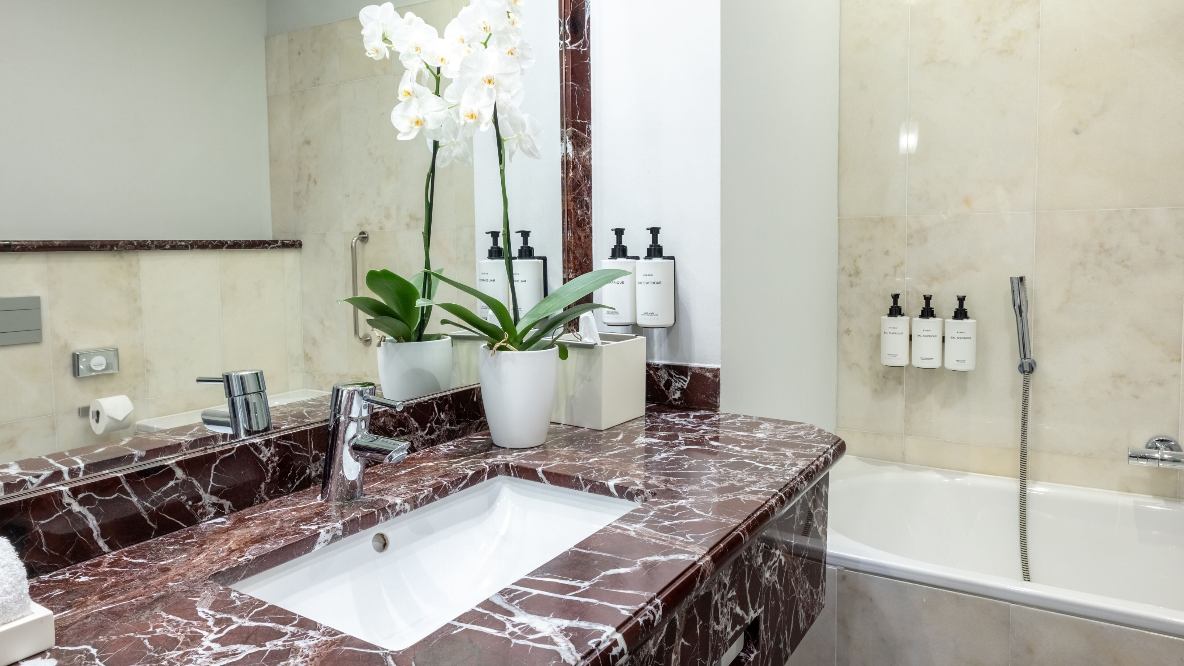 Un baño con lavamanos de mármol, un espejo, una planta en maceta y artículos de aseo en la pared.