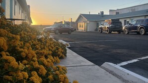 Un estacionamiento con vehículos, un edificio con letrero y flores amarillas en primer plano.