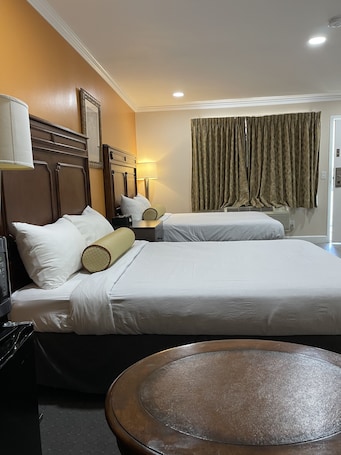 Hypo-allergenic bedding, down comforters, laptop workspace
