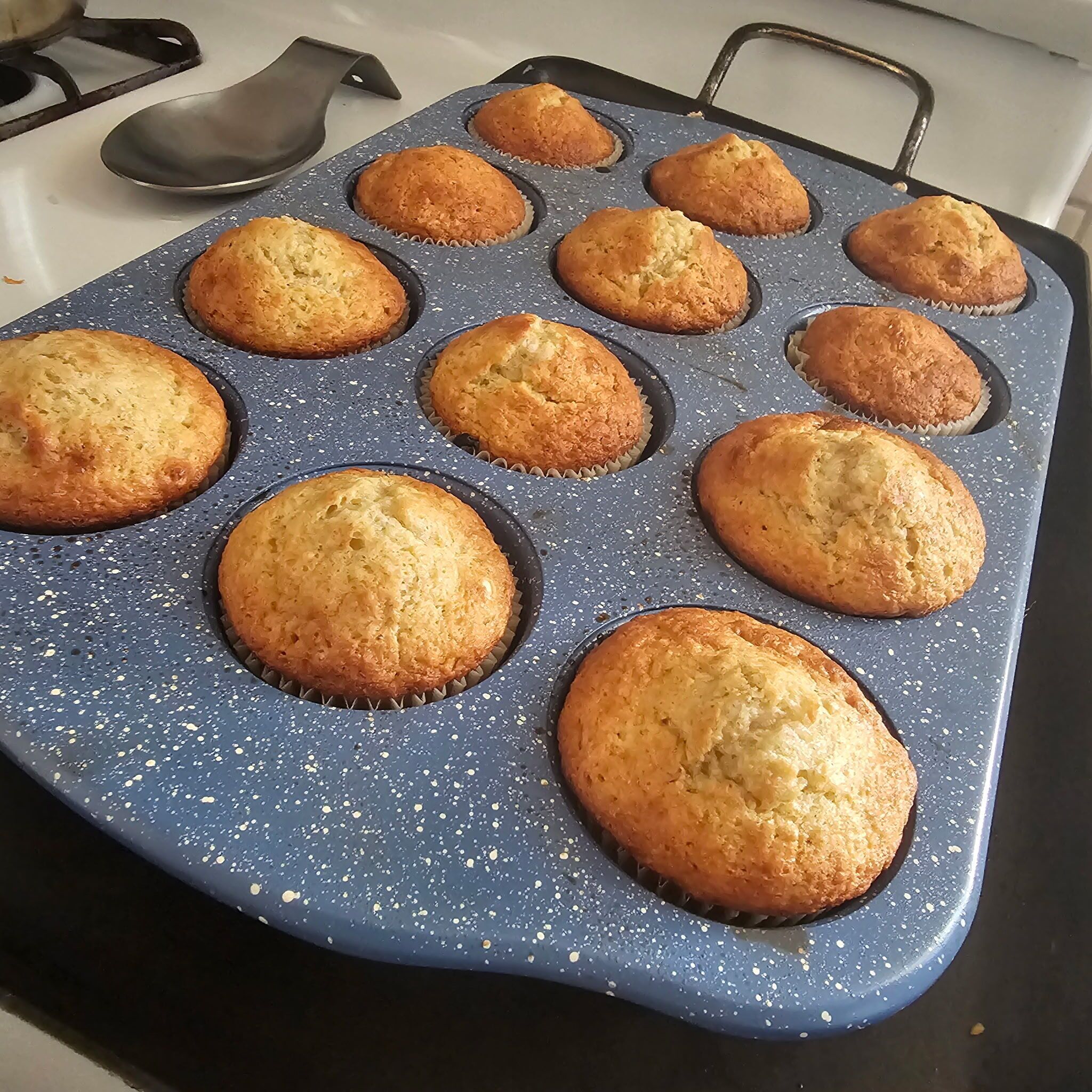 فطور مجهز للتنقل مجانًا يوميًا