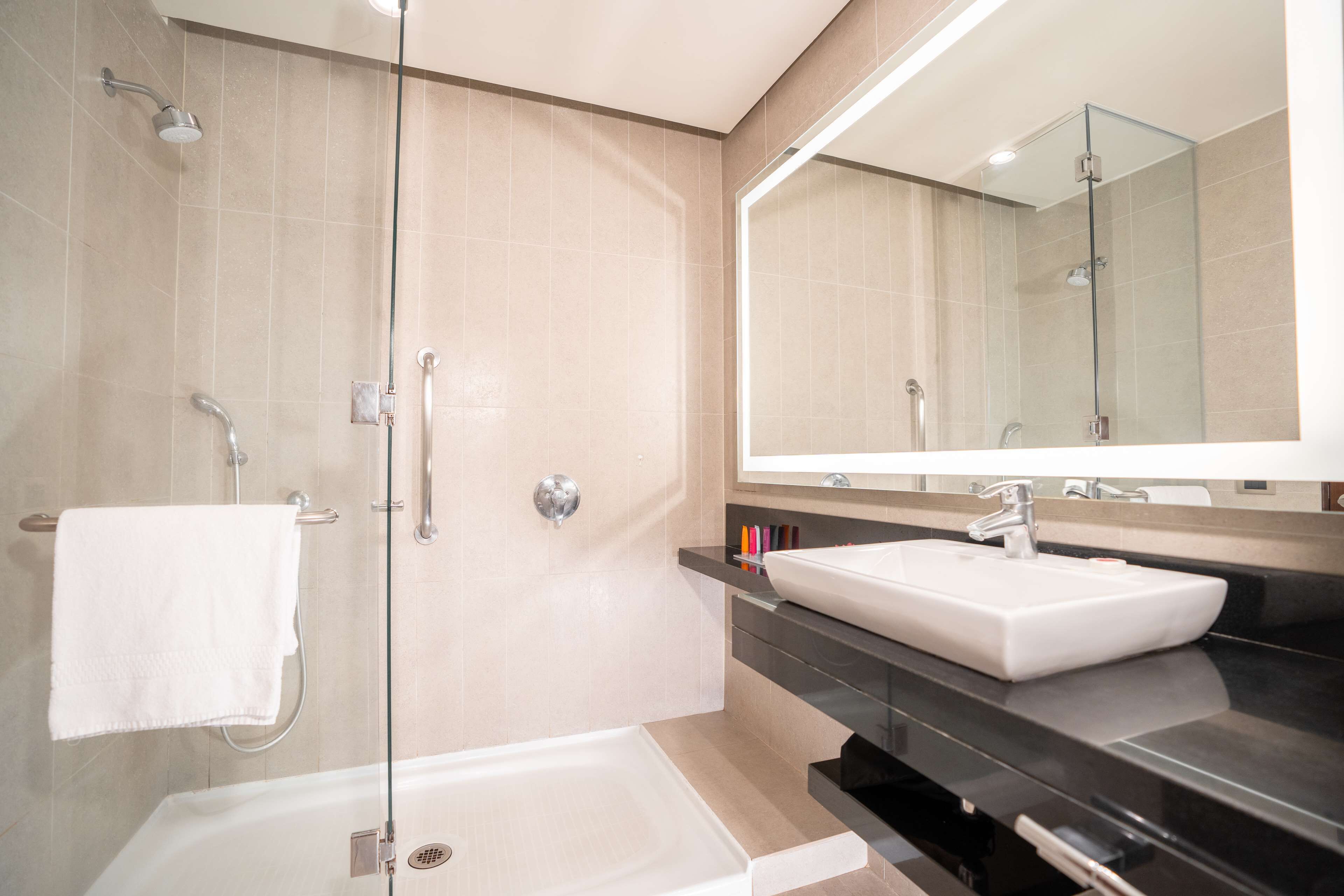 king evolution room | bathroom shower