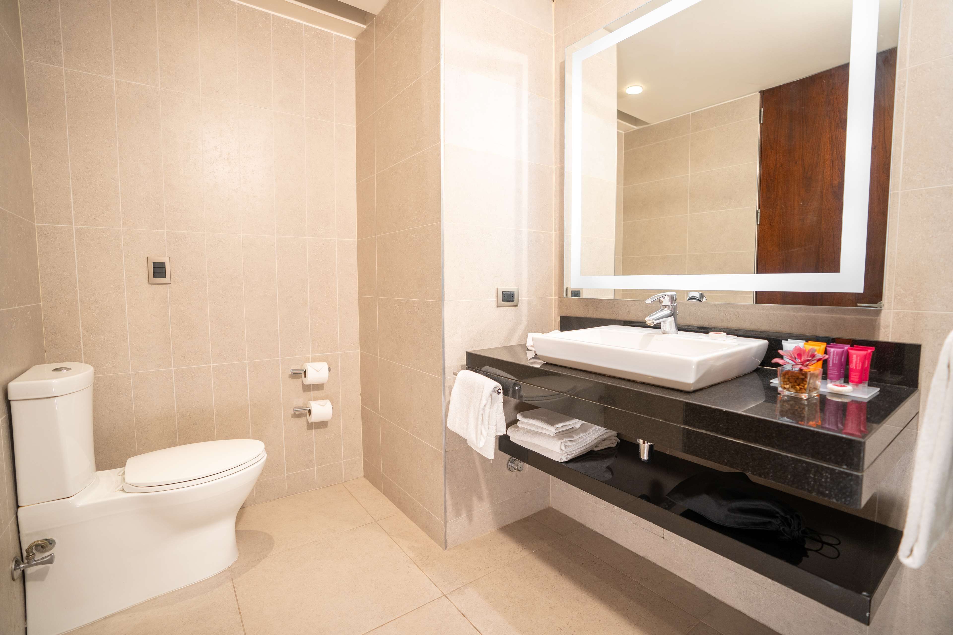 king access evolution room | bathroom | rainfall showerhead, free toiletries, hair dryer, towels