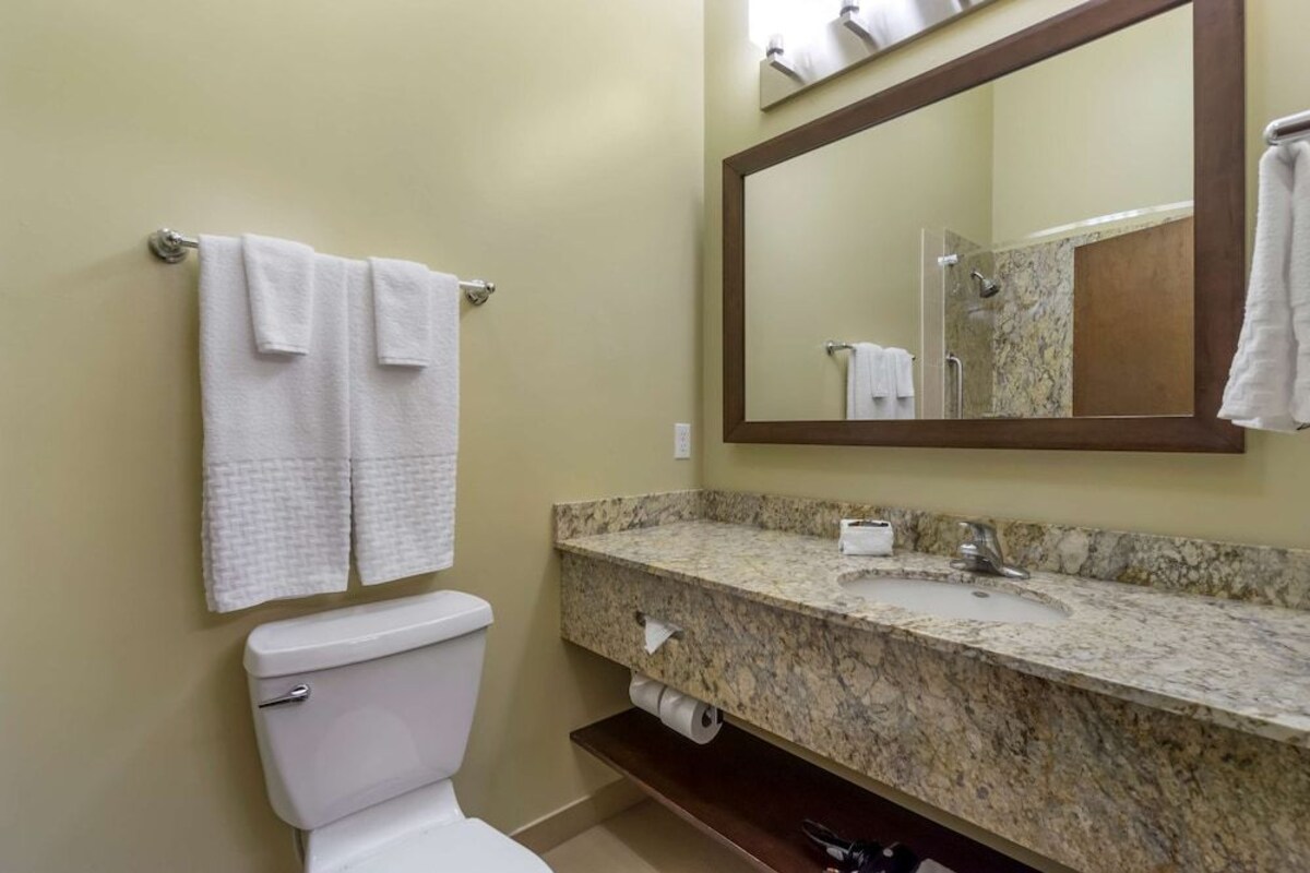 A bathroom with a toilet, a sink, a mirror, and towels.