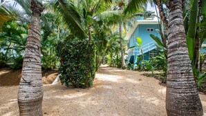 A pathway leading to a blue building surrounded by palm trees and greenery. - Bleu de Toi - Boutique Guest House (Grand-Baie)