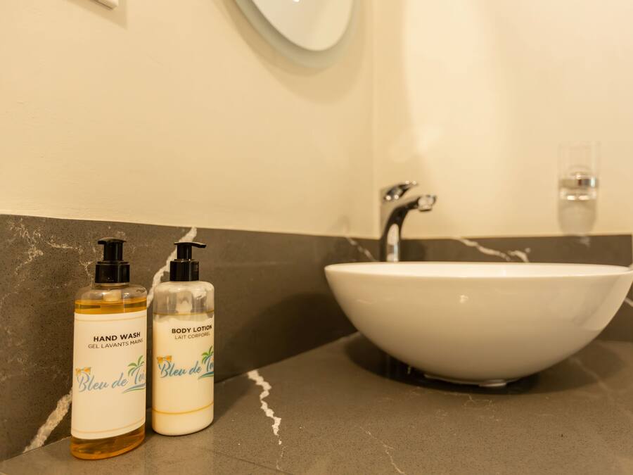 Un baño con un lavabo blanco, dos botellas de jabón de manos y crema corporal, y un espejo sobre el lavabo.