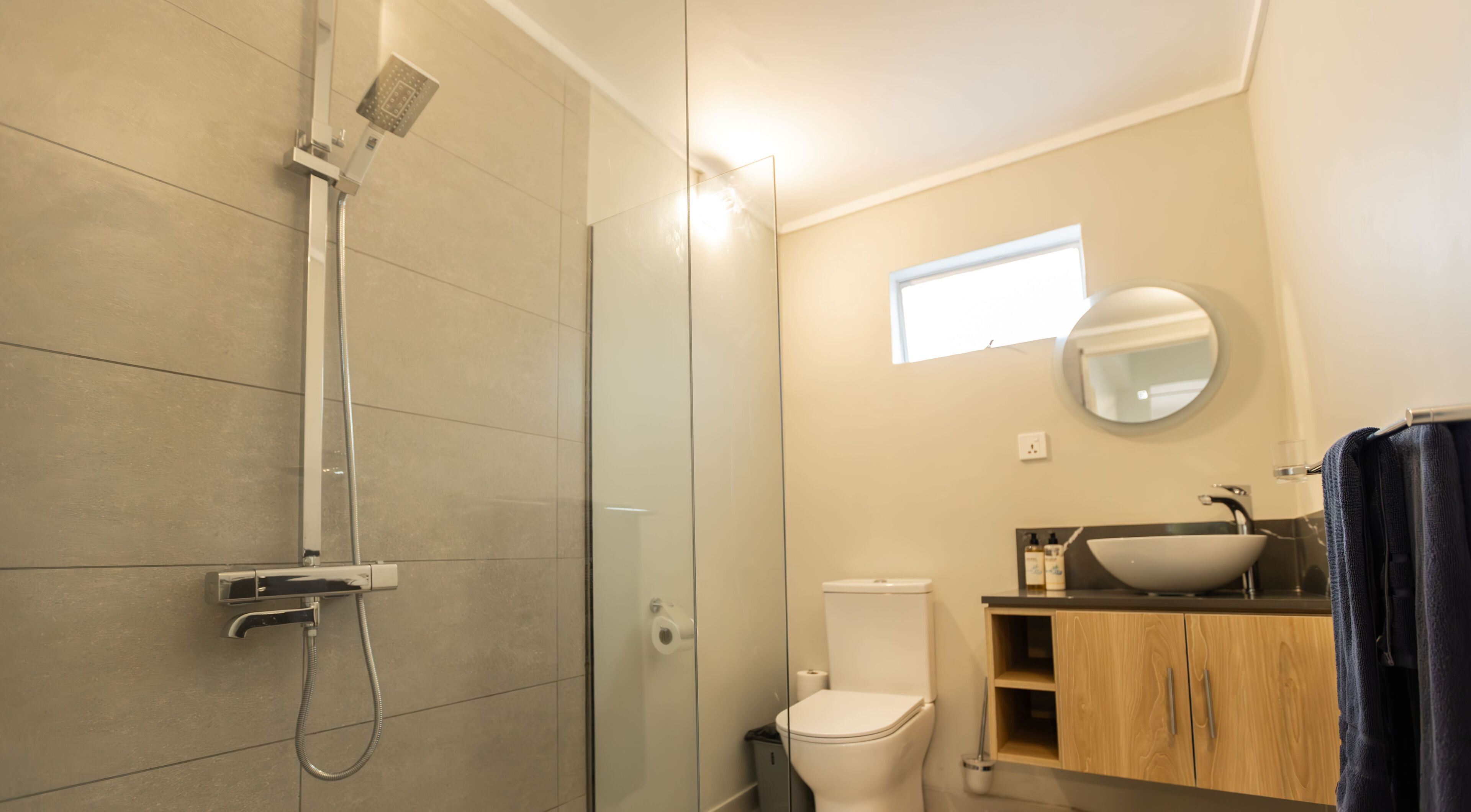 A modern bathroom with a glass-enclosed shower, a toilet, a sink with a mirror above it, and wooden cabinets.