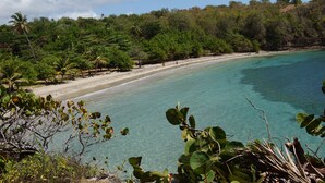 A beach with clear turquoise water, sandy shore, and dense green foliage in the background.