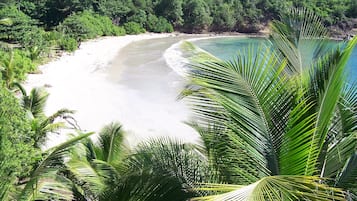 Private beach, sun-loungers, beach towels, beach massages