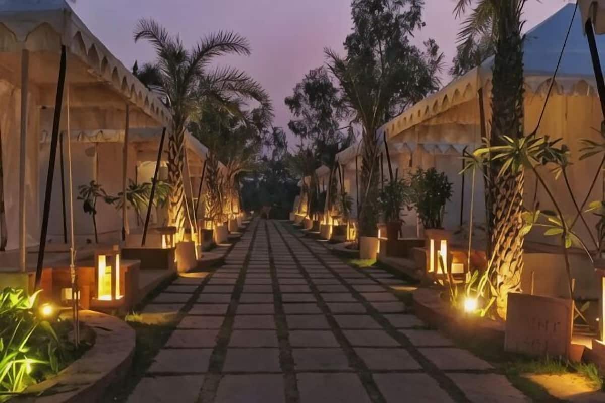 A pathway lined with potted plants and illuminated by warm lights, leading to a building with a traditional architectural style.