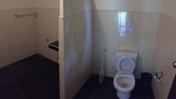 A small bathroom with a toilet, a shower, and a handrail.