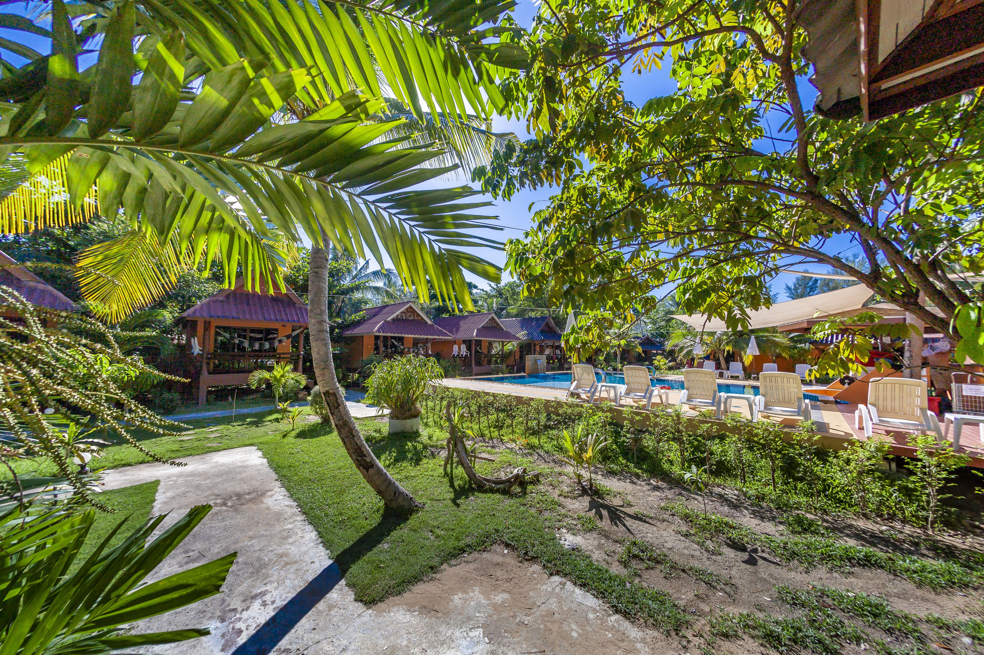 Outdoor pool, sun loungers