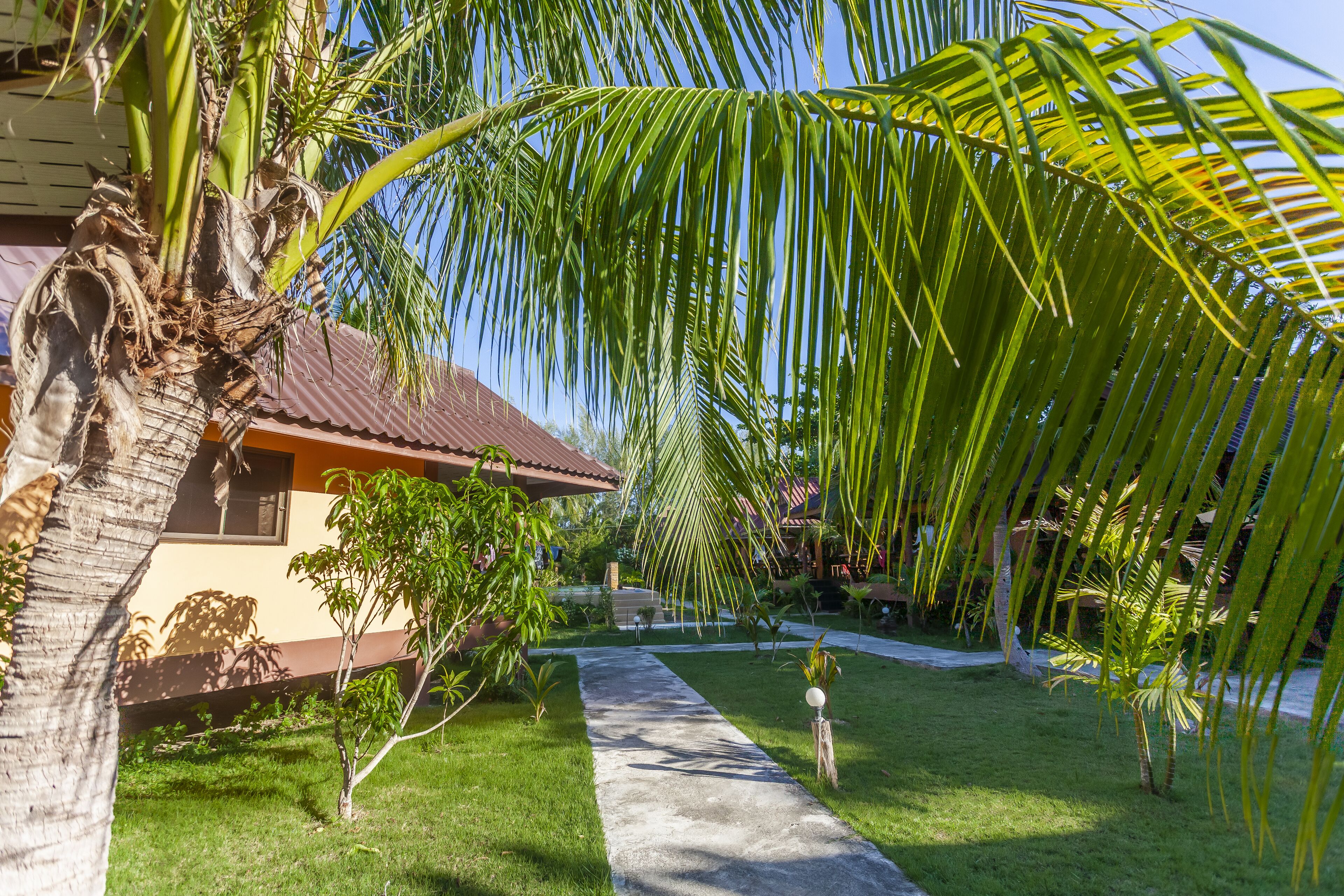 A tropical garden with a pathway leading to a building with a red roof.