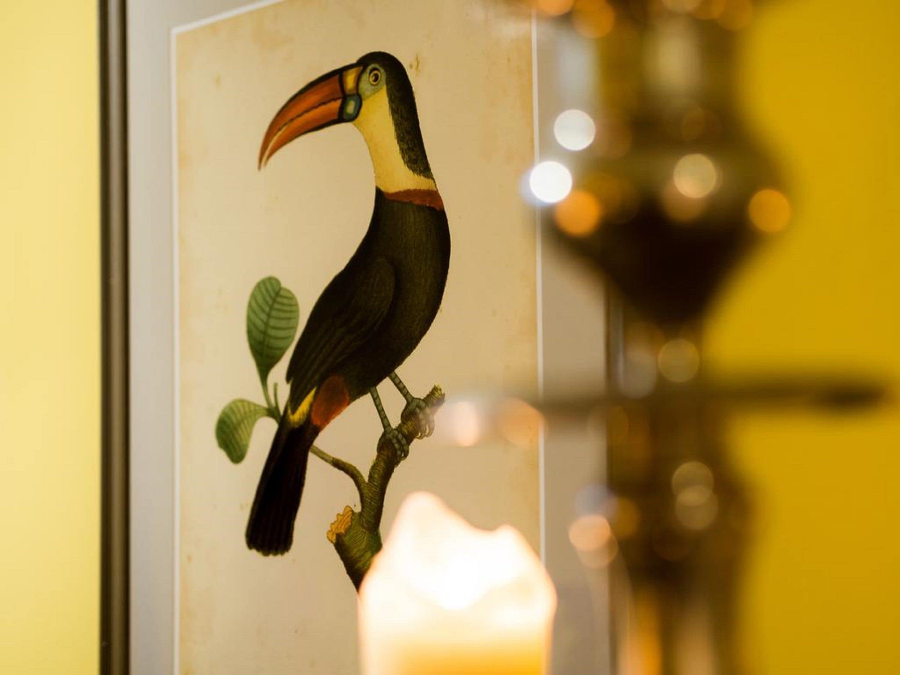 Foto - Six Brunton Place Guest House