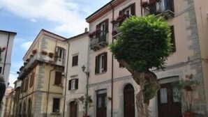 Una estrecha calle flanqueada por edificios históricos con balcones y plantas en macetas.