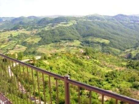 Vista desde la propiedad