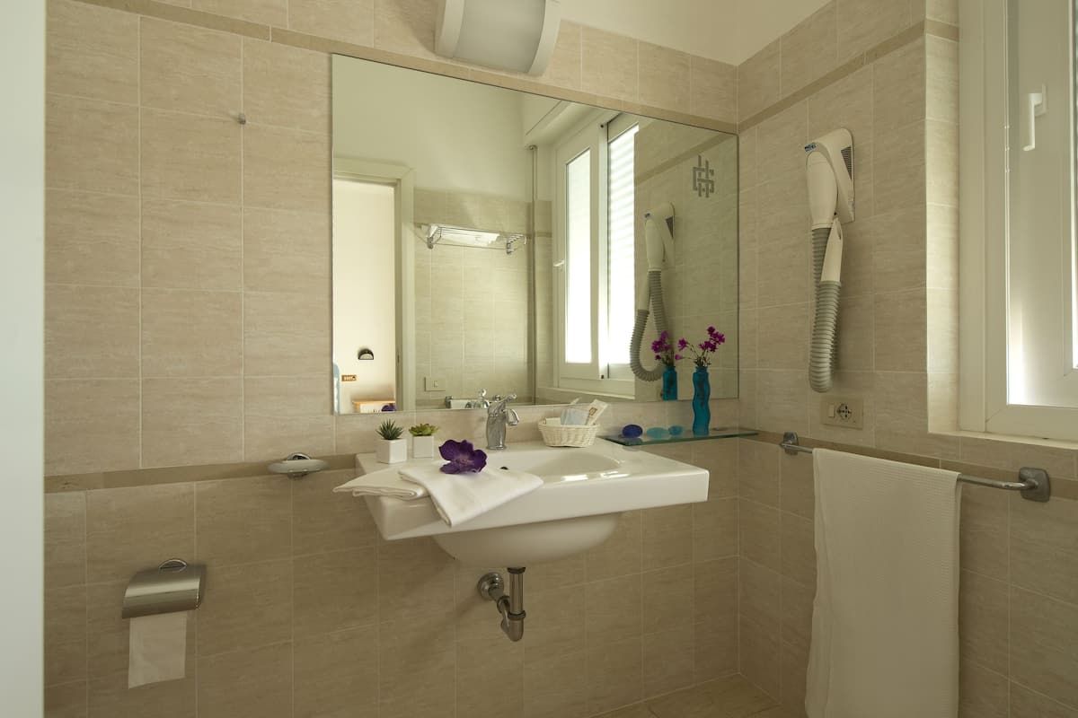 shower, free toiletries, hair dryer, bidet