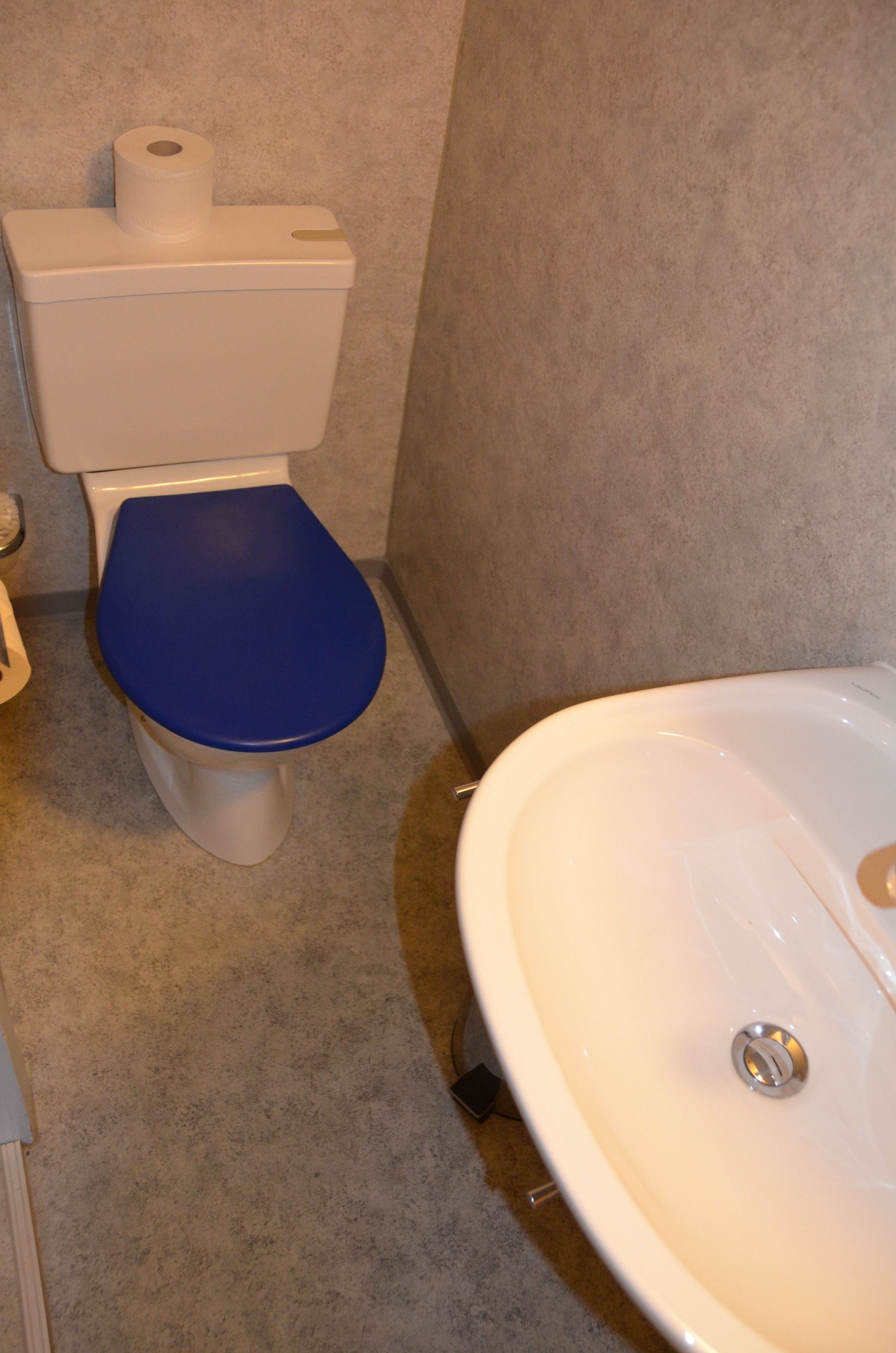 Ein Badezimmer mit Toilette, blauer Sitzfläche und Waschbecken.