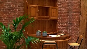 Una barra de madera con taburetes y una planta en maceta en una habitación con paredes de ladrillo.