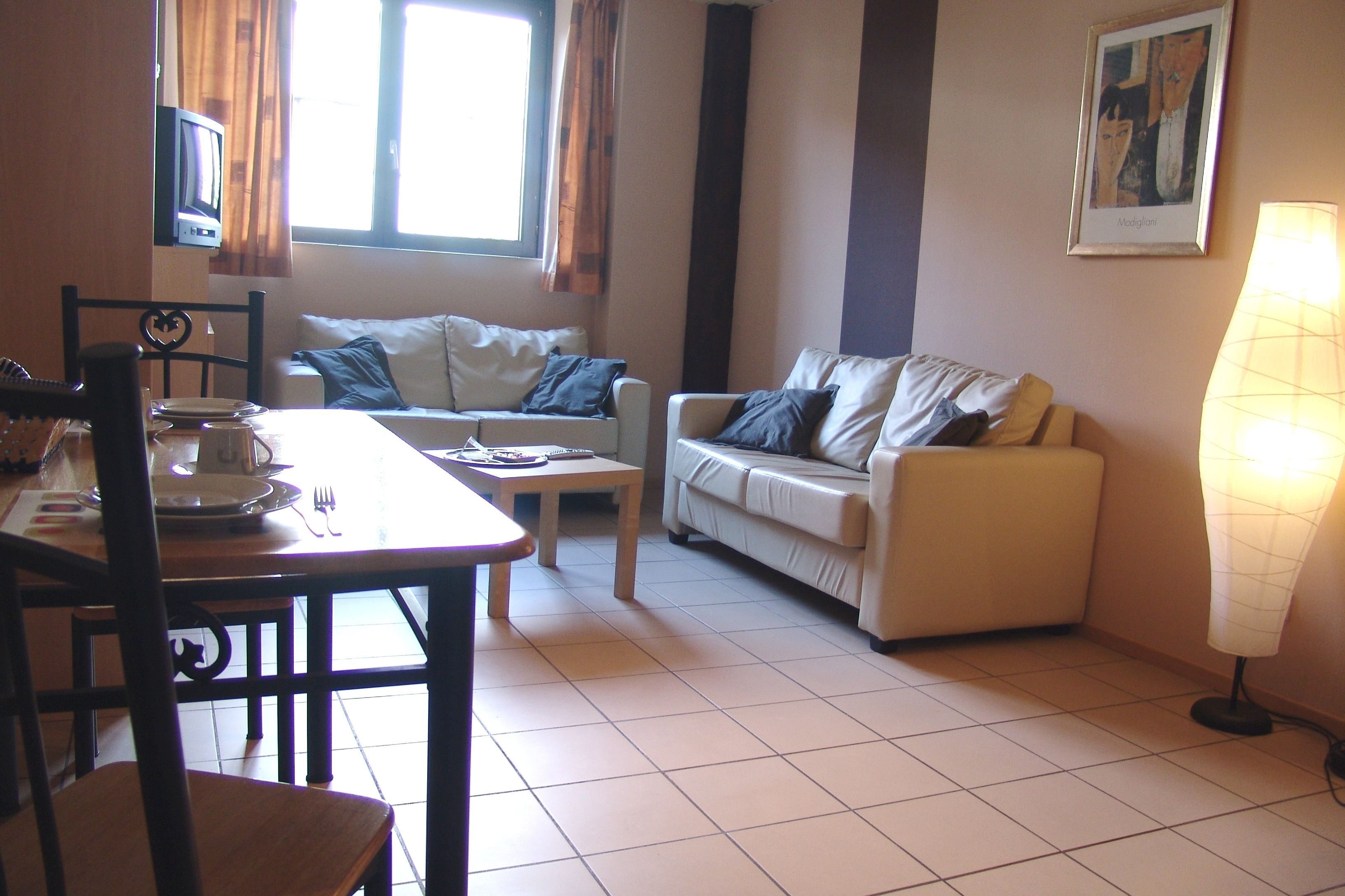 A living room with a dining table, two sofas, a TV, and a lamp.